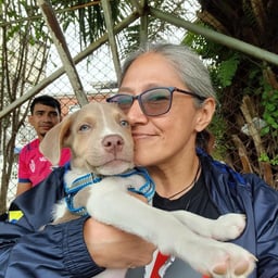 The scenery under the denim skirt from the first perspective
