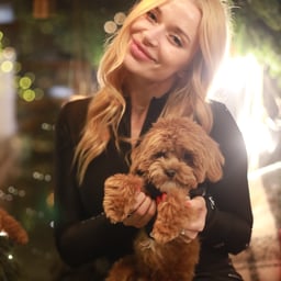 :Isn't this the star? Isn't this the star?